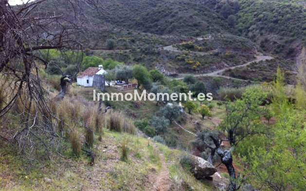 Revente - Maison de campagne - Intérieur                       - Guaro