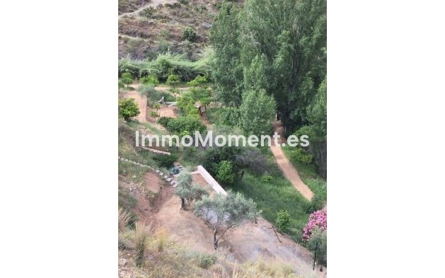 Revente - Maison de campagne - Intérieur                       - Guaro