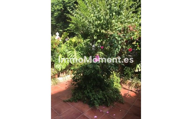 Revente - Maison mitoyenne - Estepona  - Estepona Centro