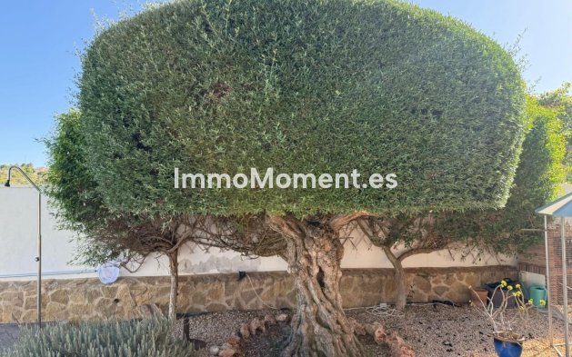 Revente - Villa - San Miguel de Salinas - San Miguel de Salinas Centro