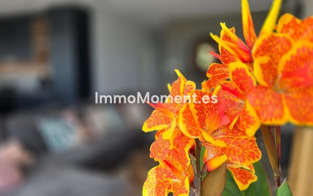 Bestaande woning - Villa - Los Montesinos - Los Montesinos Centro