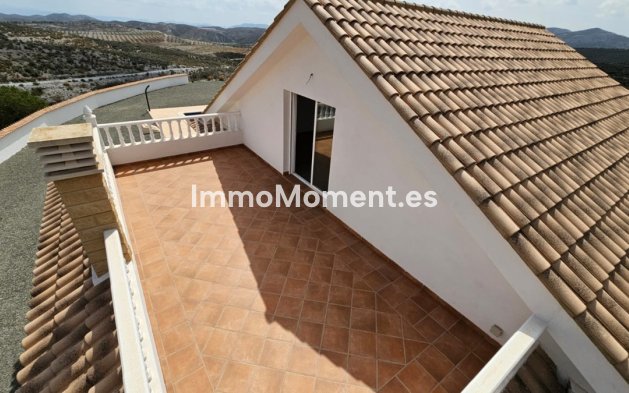 Resale - Villa - Lorca - Lorca Centro