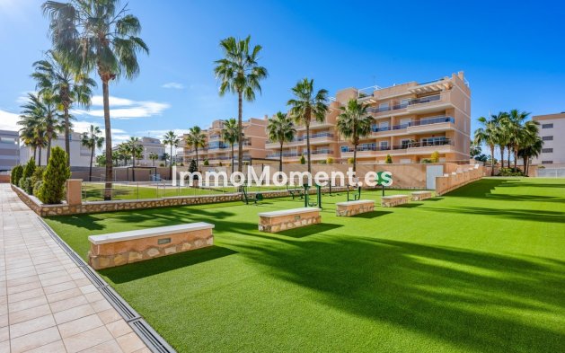 Bestaande woning - Appartement - Orihuela - Villamartin