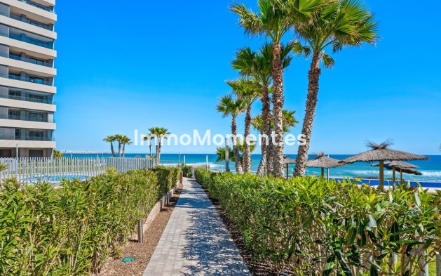 Revente - Appartement - Orihuela - Punta Prima