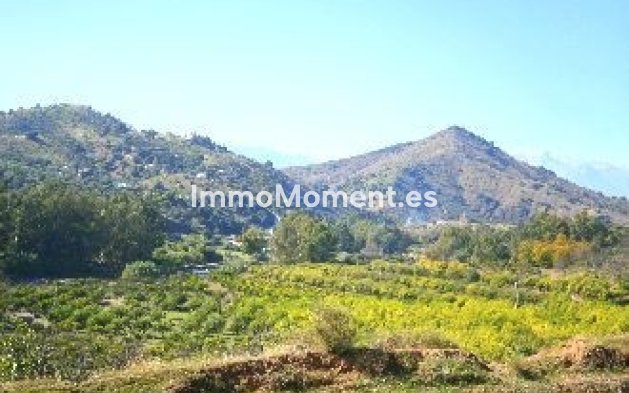 Revente - Villa - Intérieur                       - Coín