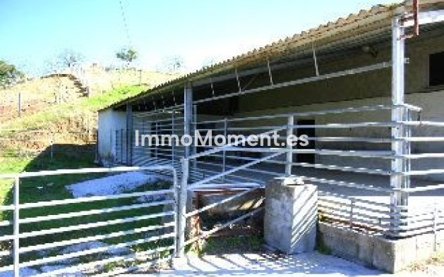 Revente - Villa - Intérieur                       - Coín