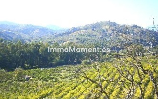 Revente - Villa - Intérieur                       - Coín