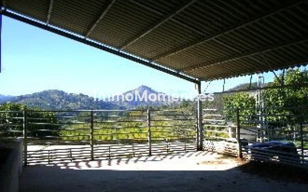 Revente - Villa - Intérieur                       - Coín