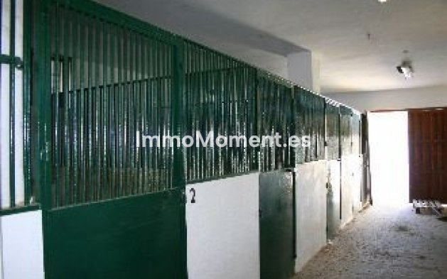 Revente - Villa - Intérieur                       - Coín