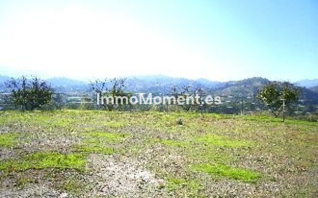 Revente - Villa - Intérieur                       - Coín