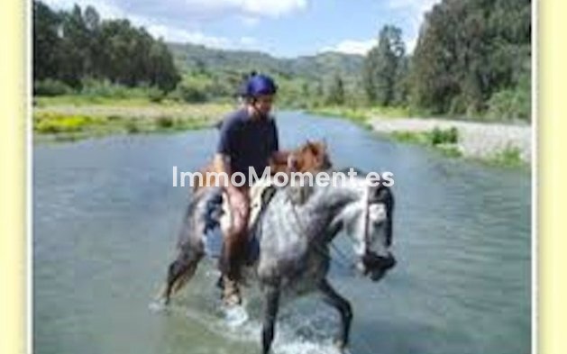 Revente - Villa - Intérieur                       - Coín