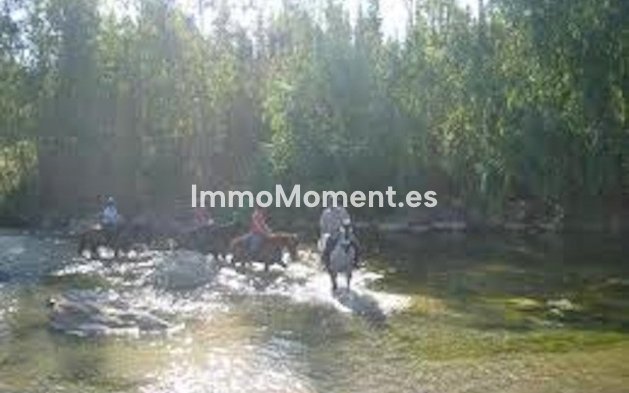 Revente - Villa - Intérieur                       - Coín