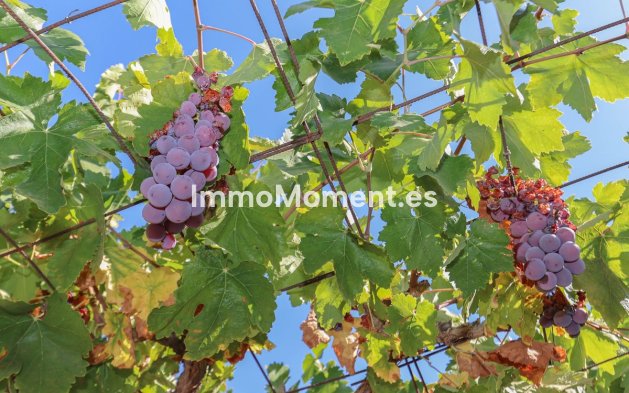 Bestaande woning - Villa - Binnenland  - Guaro