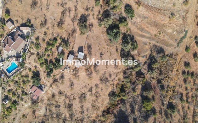 Revente - Villa - Intérieur                       - Guaro