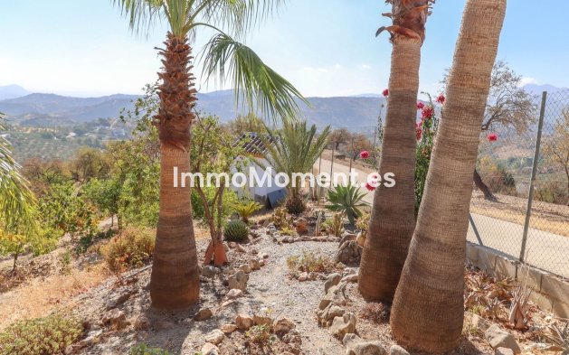 Revente - Villa - Intérieur                       - Guaro