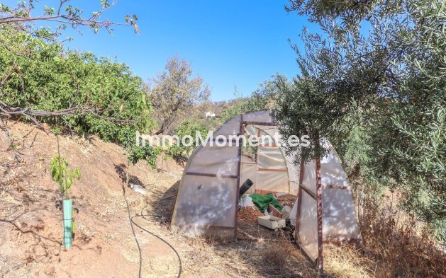 Revente - Villa - Intérieur                       - Guaro