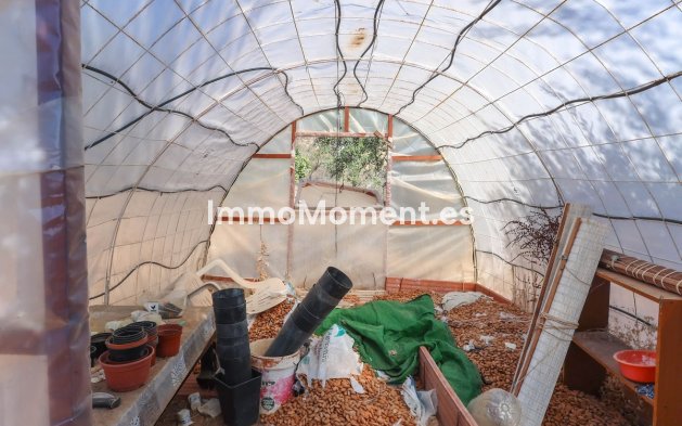 Revente - Villa - Intérieur                       - Guaro