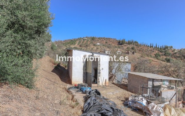 Revente - Villa - Intérieur                       - Guaro