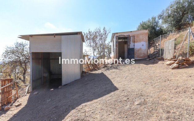 Revente - Villa - Intérieur                       - Guaro