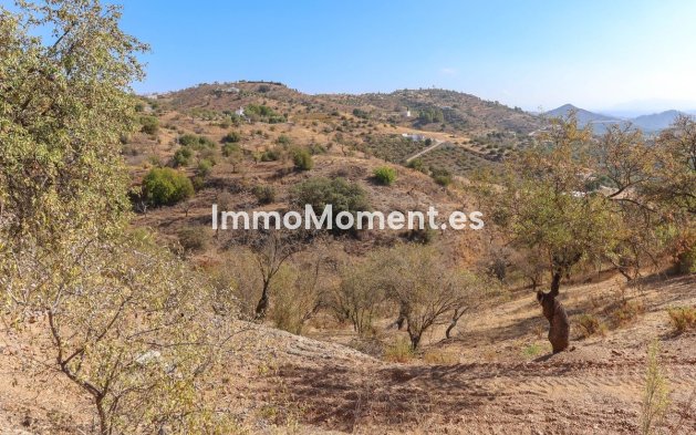 Revente - Villa - Intérieur                       - Guaro