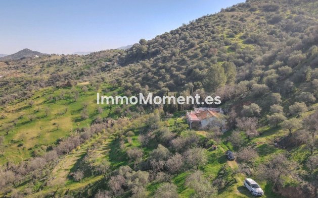 Revente - Maison de campagne - Intérieur                       - Guaro