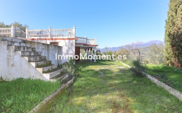 Revente - Maison de campagne - Intérieur                       - Guaro