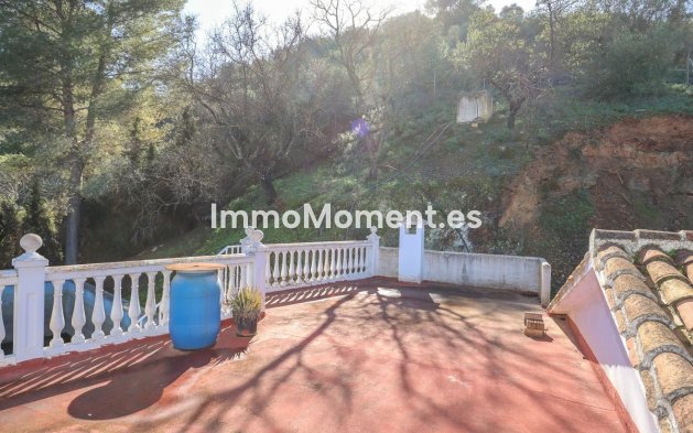 Revente - Maison de campagne - Intérieur                       - Guaro