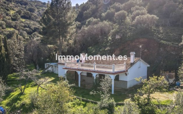 Revente - Maison de campagne - Intérieur                       - Guaro