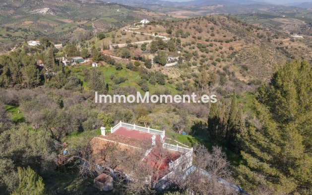 Revente - Maison de campagne - Intérieur                       - Guaro