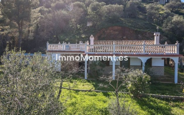 Revente - Maison de campagne - Intérieur                       - Guaro
