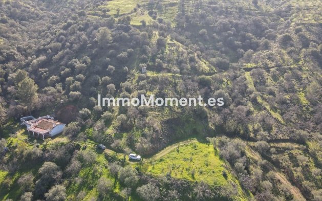 Revente - Maison de campagne - Intérieur                       - Guaro