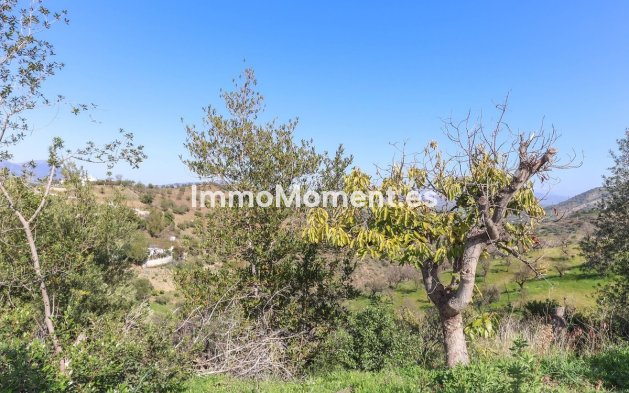 Revente - Maison de campagne - Intérieur                       - Guaro