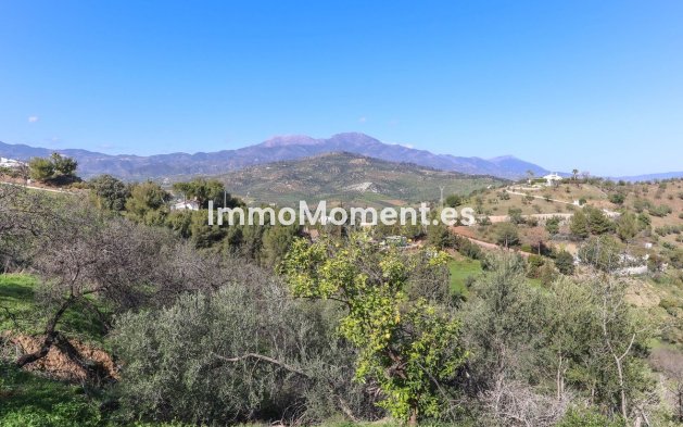 Revente - Maison de campagne - Intérieur                       - Guaro