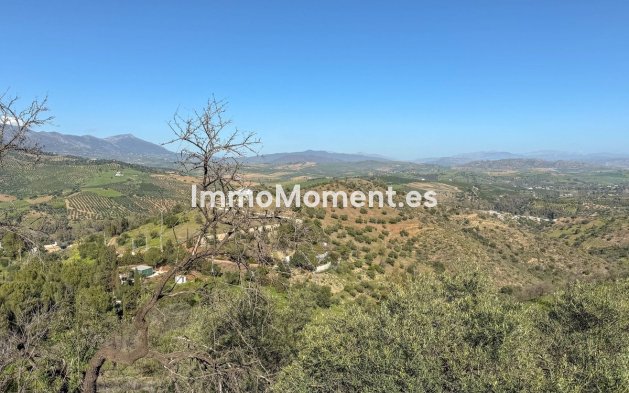 Revente - Maison de campagne - Intérieur                       - Guaro