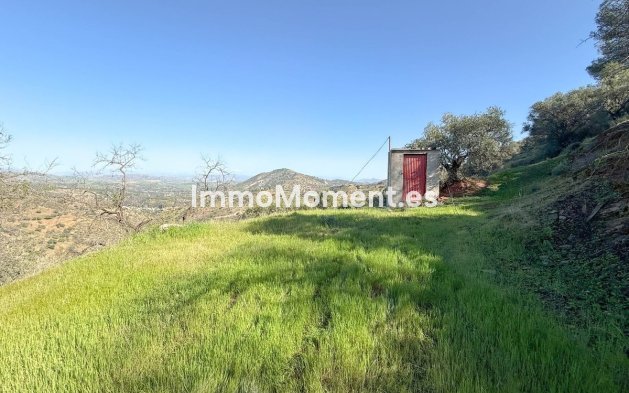 Revente - Maison de campagne - Intérieur                       - Guaro