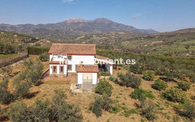 Wiederverkauf - Villa -   Inländisch - Guaro