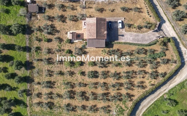 Wiederverkauf - Villa -   Inländisch - Guaro