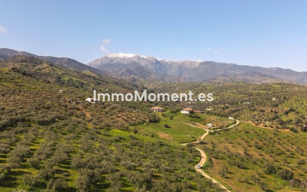 Wiederverkauf - Villa -   Inländisch - Guaro