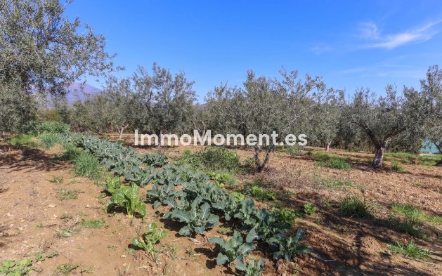 Wiederverkauf - Villa -   Inländisch - Guaro