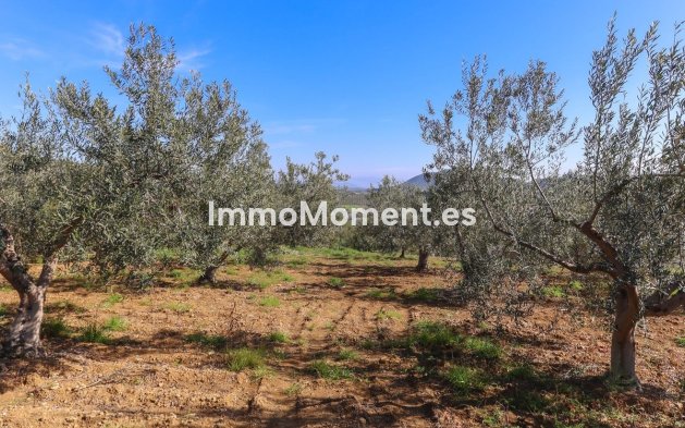 Wiederverkauf - Villa -   Inländisch - Guaro