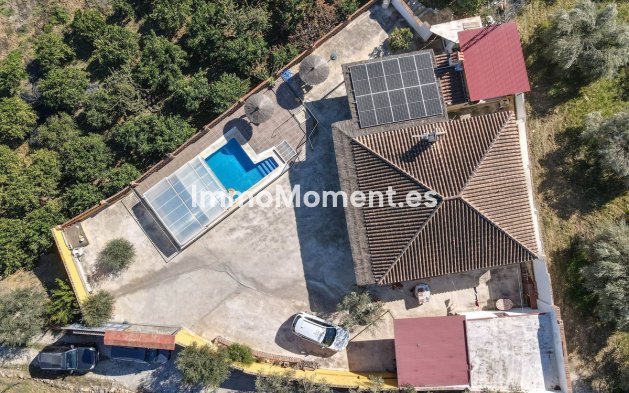 Revente - Villa - Intérieur                       - Monda