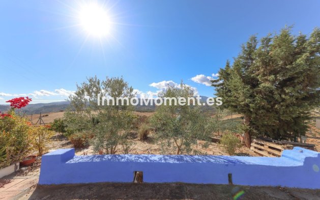 Revente - Villa - Intérieur                       - Guaro