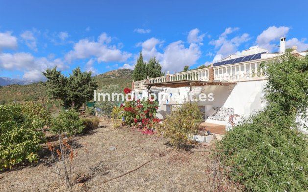 Revente - Villa - Intérieur                       - Guaro