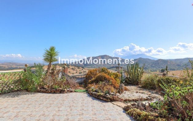 Revente - Villa - Intérieur                       - Guaro