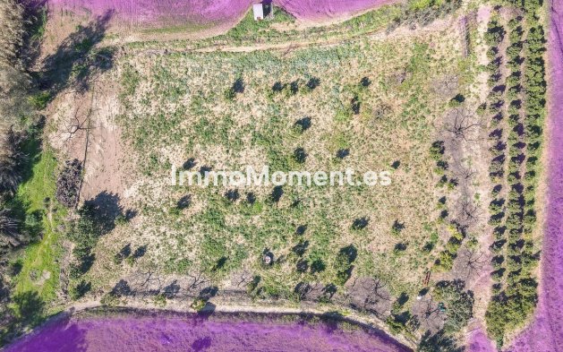 Bestaande woning - Villa - Binnenland  - Coín