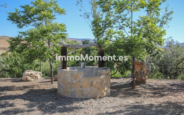 Resale - Villa - Inland  - Pizarra