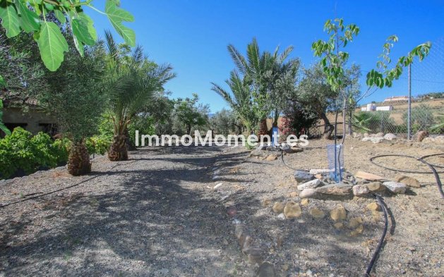 Resale - Villa - Inland  - Pizarra