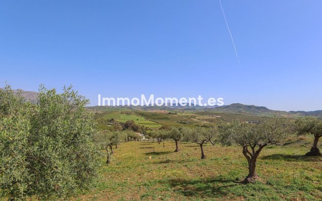 Revente - Maison de campagne - Intérieur                       - Alora