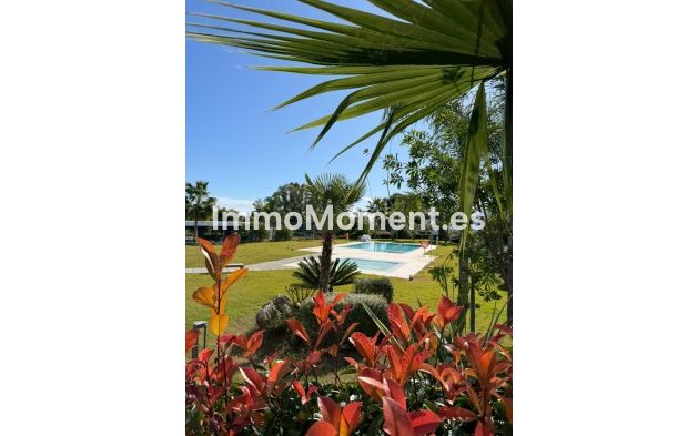 Reventa - Apartamento - Estepona  - Estepona Centro