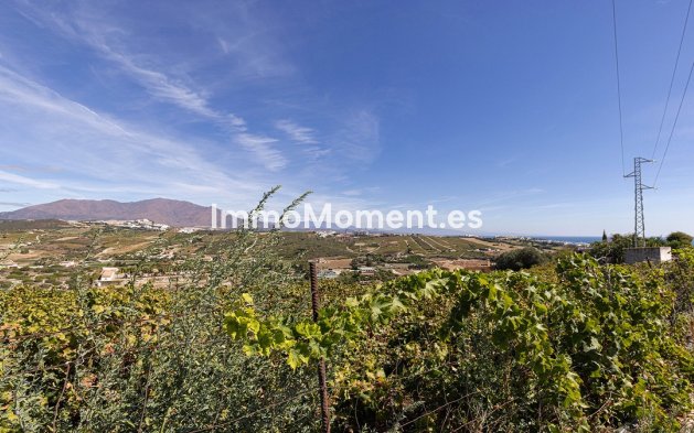 Revente - Maison mitoyenne - Manilva - Manilva Centro